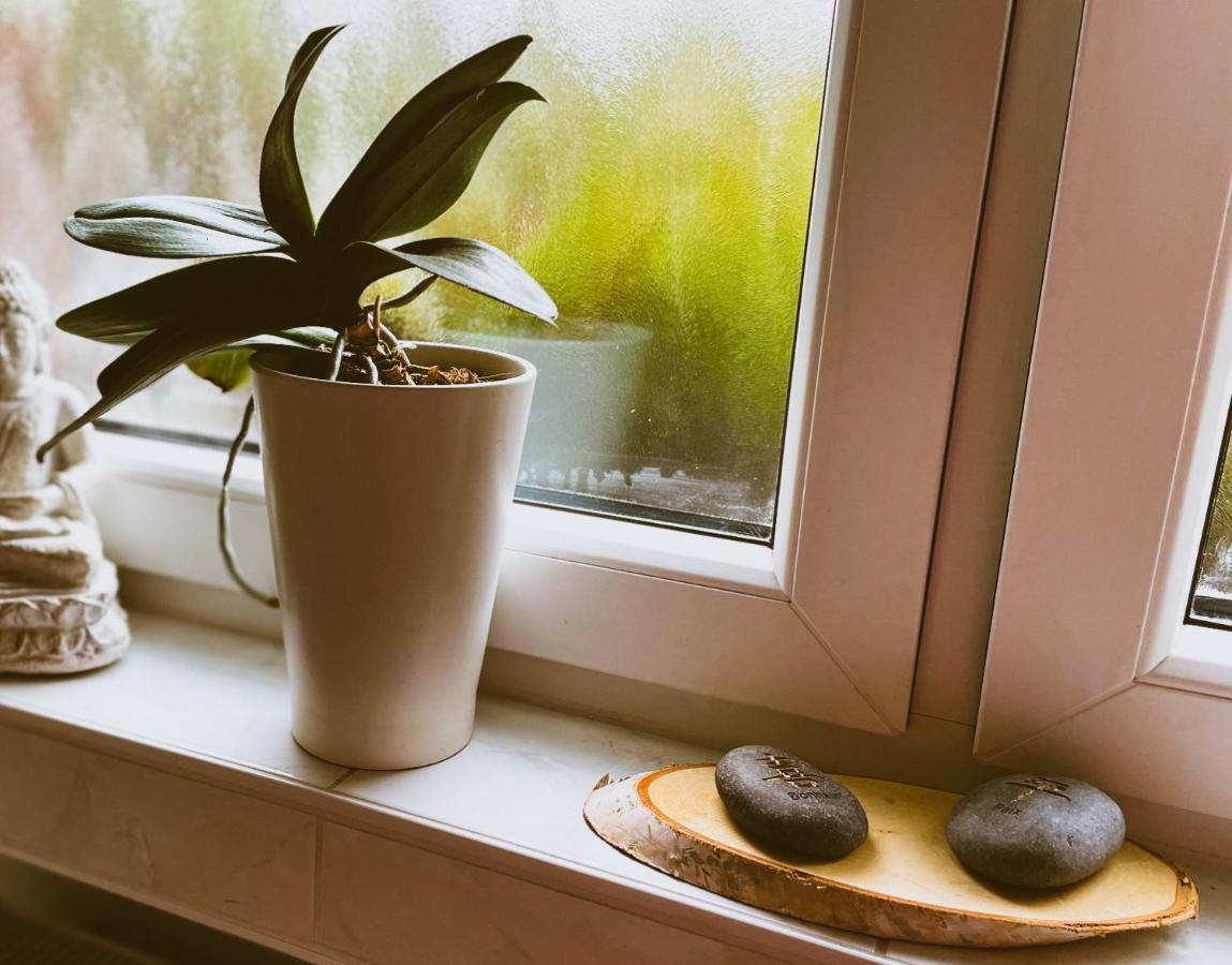 Modernes Appartement Im Gruenen - Stilvoll Und Komfortabel Koln Bagian luar foto